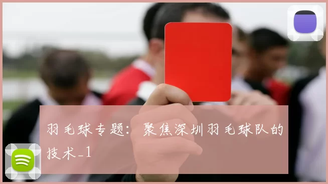 羽毛球专题：聚焦深圳羽毛球队的技术_1