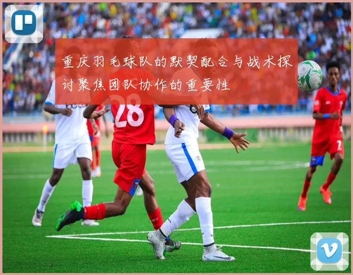 重庆羽毛球队的默契配合与战术探讨聚焦团队协作的重要性