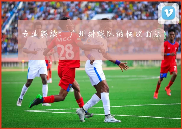 专业解读：广州排球队的快攻打法