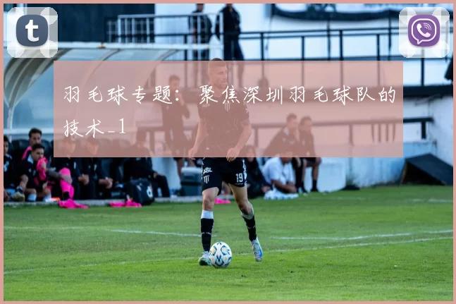 羽毛球专题：聚焦深圳羽毛球队的技术_1