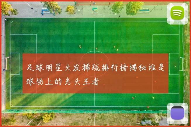 足球明星头发稀疏排行榜揭秘谁是球场上的光头王者