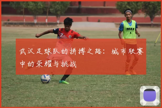 武汉足球队的拼搏之路：城市联赛中的荣耀与挑战