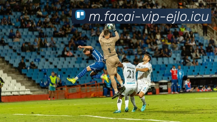 米兰体育平台生态图